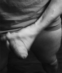 Every Guy Jacks Off 5a384f910d919.gif
