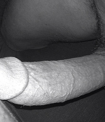 Too Big! 5a3a5a6b58e75.jpg