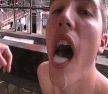Cum, Cumming and Splatter 5a46a4315bf5d.gif