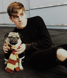 Choose Your Cute 5a651c353219d.jpg