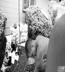 Boy on Boy Action 5a657f0ec7d40.gif
