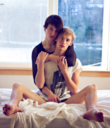 Cuteness Never Looked So Good 5a9b5c2a30013.png