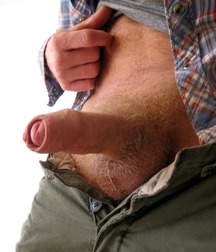 Lot's of Dick 5a9cb57cd78c6.jpg