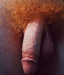 Lot's of Dick 5a9cb57dacd33.jpg