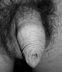 Uncut Boys & Beauty 5a9cb5ed313c3.jpg
