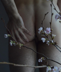 Beautiful Behinds 5aac3eb0e448d.png