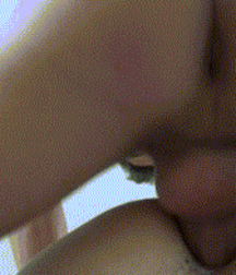 Twinkie Series 5ab03788b483a.png