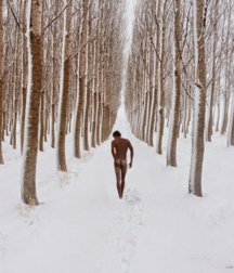 Beautiful Scenery & Artistic 5abead8f40711.png