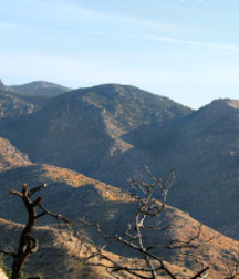 Beautiful Scenery & Artistic 5abead93112d4.png