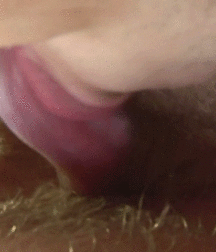 Deep Licking 5b1338c050ea3.gif