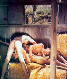 Fantasize Three Way 5b2d6e6f0dd8a.jpg