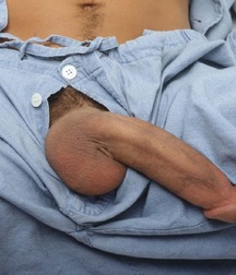 Cocks Pulled Out Boys Cock Gay Tube 5b358a30359c4.jpg