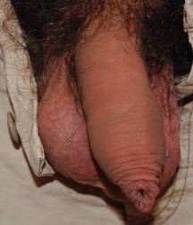 Cocks Pulled Out Boys Cock Gay Tube 5b358a56ad121.jpg