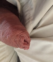 Cocks Pulled Out Boys Cock Gay Tube 5b358a5d8b8d7.jpg
