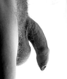 B & W and Vintage 5b3d67c52527a.jpg