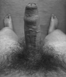 B & W and Vintage 5b3d67f273346.png