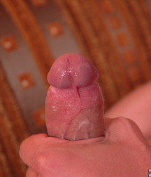 Naked Teen Boys in Series' 5b40f94ca7dab.jpg