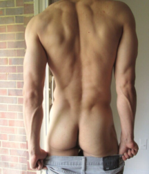 Studs 5b533318660f0.png