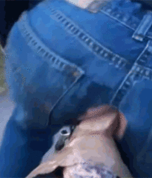Just for Fun 5b5868368c082.gif