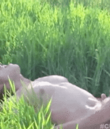 Cum is King! 5b776d7c4069e.gif