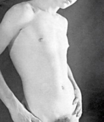 B&W and Vintage 5b7a0fef861c4.png