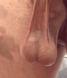 Studs & Hunks 5b7d6d4dc8529.png