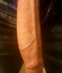 Too Big! 5b7e1c18749c7.jpg