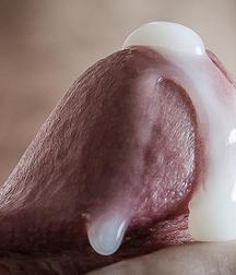 Cum Everywhere 5b82c815b6a70.jpg