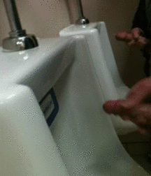 The Weird & Funny File 5b8aae085820d.gif