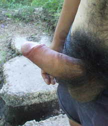 Natural Great Looking Bushs 5b8c5afa6543e.jpg