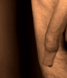 Shaggy Extra Long Foreskins 5b8c5bb136fa3.gif