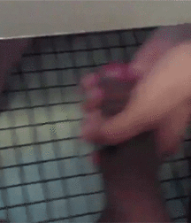 The Weird Files 5b9d7f192a692.gif