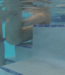 As Fun as it Gets 5bdf791031758.gif