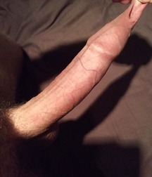 A Study of Male Dicks 5bdf7bf818403.jpg