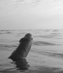 Unique Photos - Naked 5bf36e133d4dd.jpg