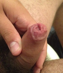 The Dick File 5bf621b745e4e.jpg