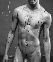 Fun Pics 5bf6c517512f9.jpg