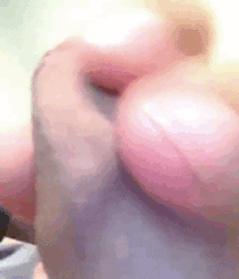 Jacking Yourself Off 5bfaf4c5d99b8.gif