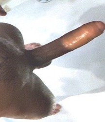 100+ Monster Cocks 5c09e2139eb9c.jpg