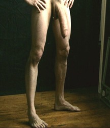 100+ Monster Cocks 5c09e23911acc.jpg