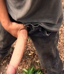 100+ Monster Cocks 5c09e23e3c2b1.jpg