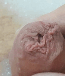 Caption This! 5c0dd70a85d25.gif