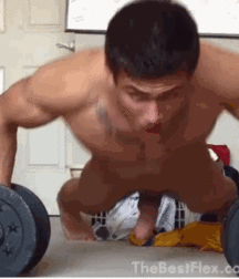 Studs 5c16990402306.gif