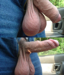 Admirable Balls 5c1c5b674f557.png