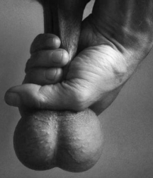 Admirable Balls 5c1c5b70b687c.png