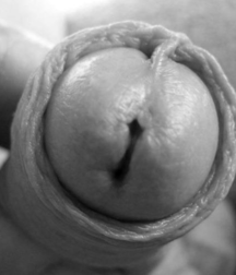 Uncut Beauty 5c1e5eb26ba85.png