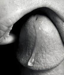 Cocksucking Rules!! 5c4d1cf9caaed.png
