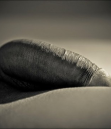 Audacious Sex 5c4d45c6bc1d8.png