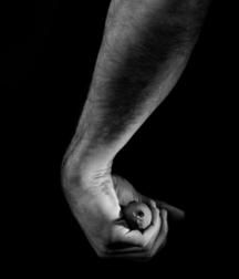 Audacious Sex 5c4d4622409f6.png