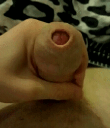 Jacking Off 101 5cbe173107100.gif